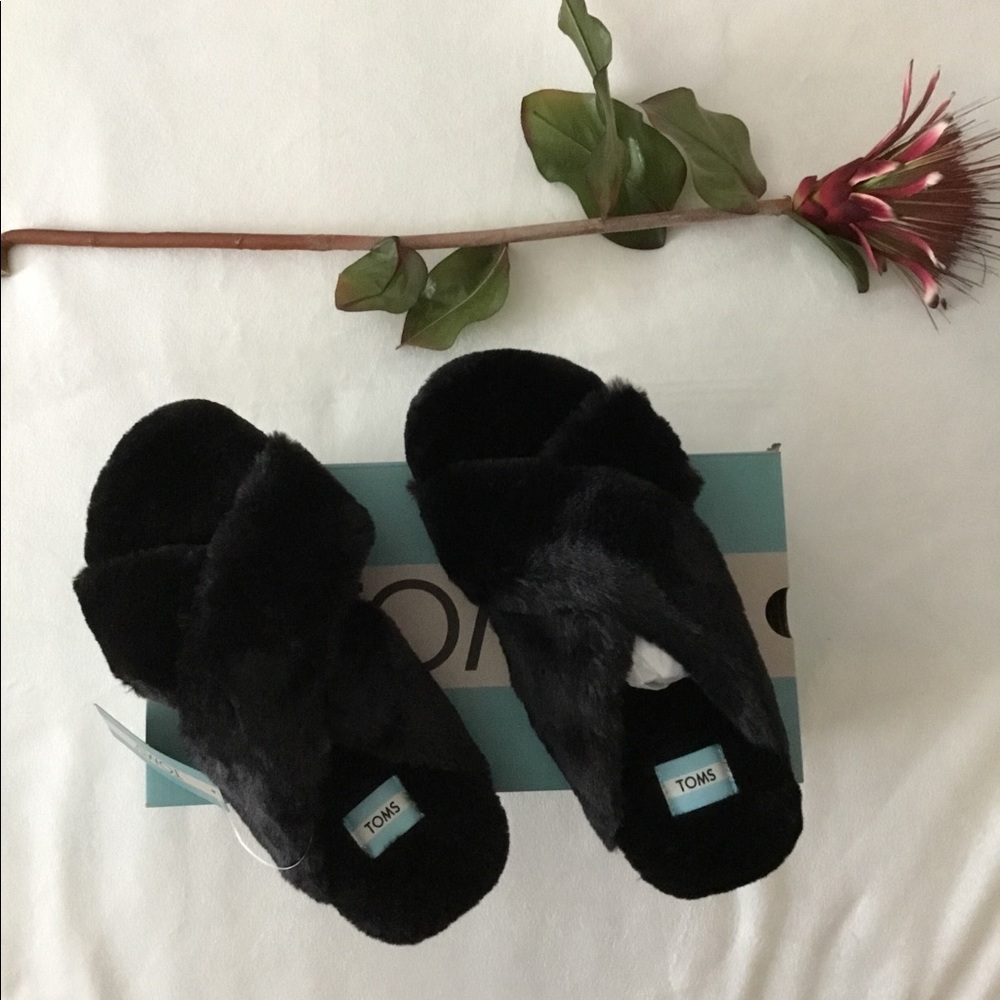 New in box TOMS slippers